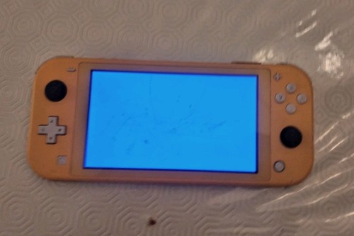 Nintendo switch lite console - switch,